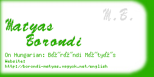 matyas borondi business card